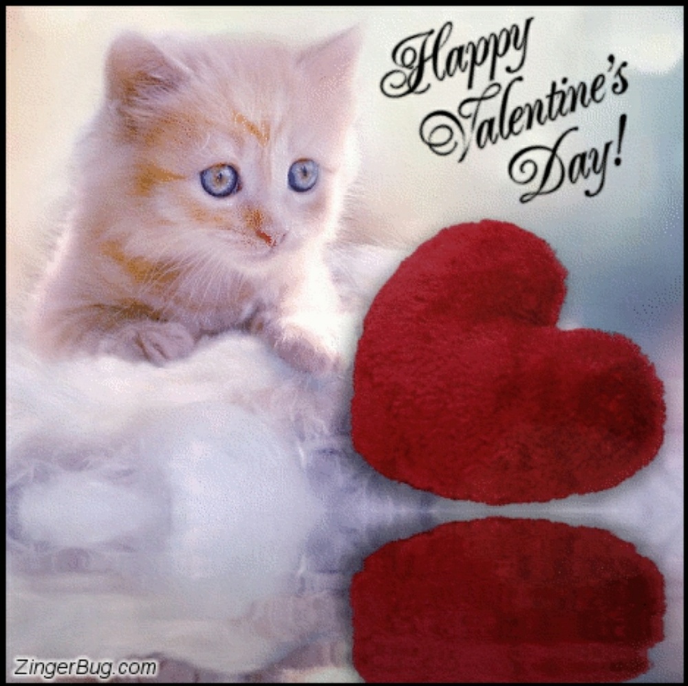 Happy Valentine's Day!